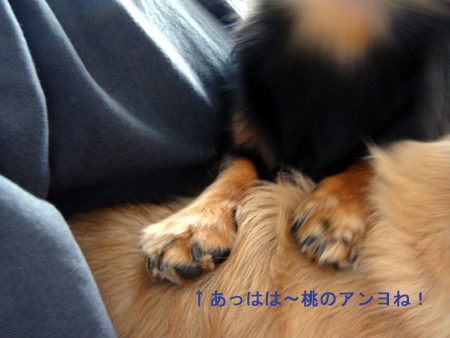 c0117831_20235496.jpg