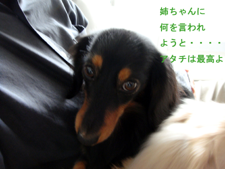c0117831_20241564.jpg