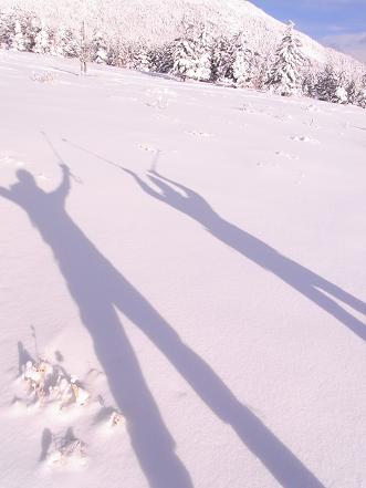 2月21日　北八ヶ岳スノーシュー♡_e0082234_15211920.jpg