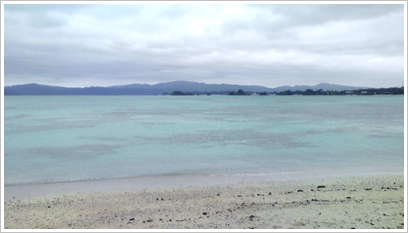 d0070641_20555532.jpg
