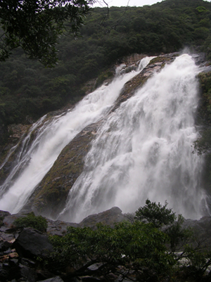 c0085543_22923.jpg