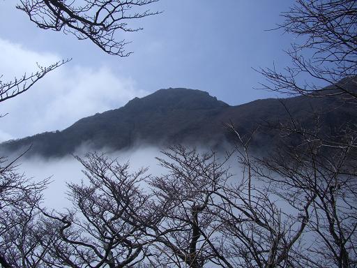 e0164643_16244949.jpg