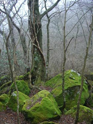 e0164643_167528.jpg