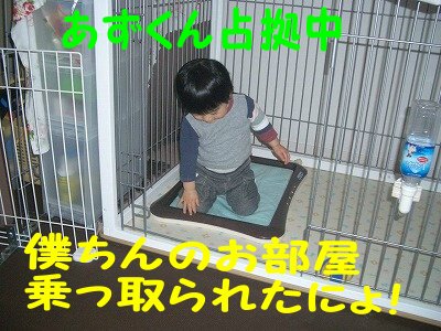 家なき子になったび_a0166954_1641377.jpg