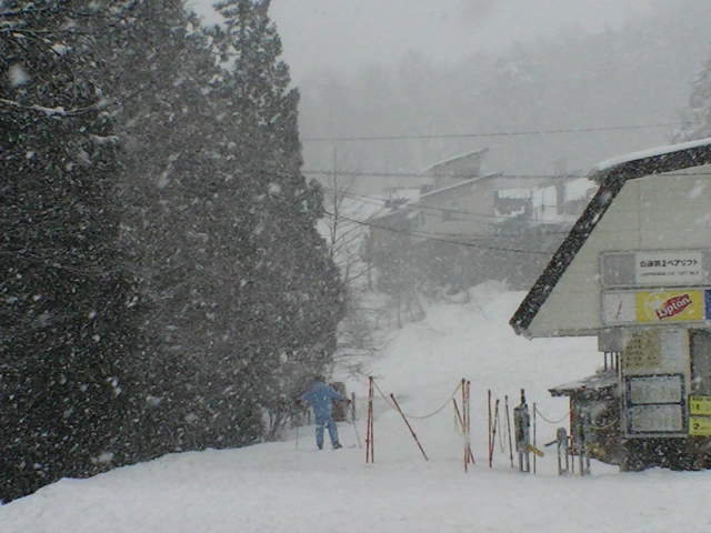 おぉ雪だー_a0140584_1251149.jpg