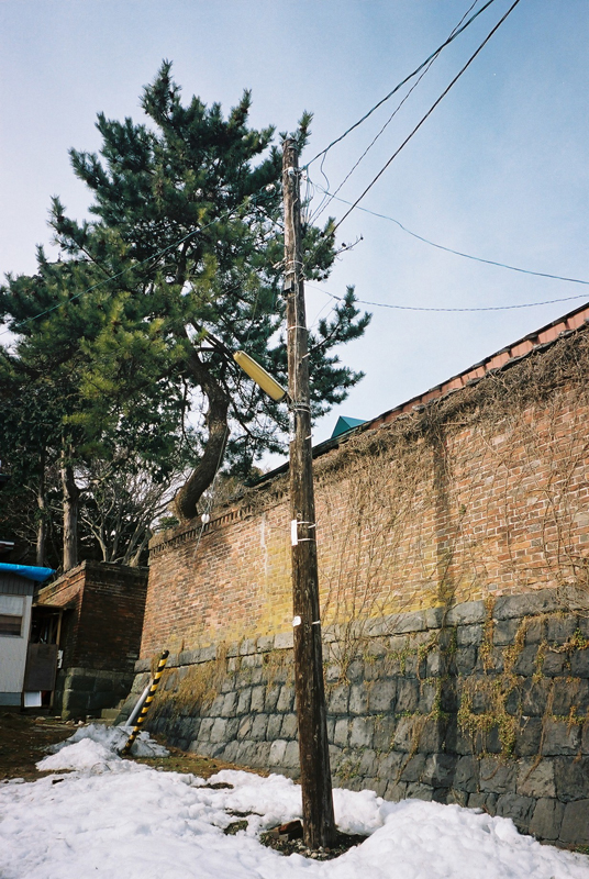 a0141385_1385161.jpg
