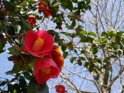 曽根沼公園にて_b0180288_2158943.jpg