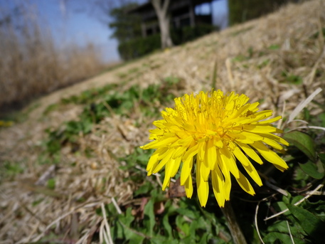 曽根沼公園にて_b0180288_2203136.jpg