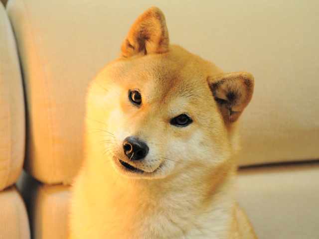 今夜は中止という事で!!_a0126590_2243051.jpg