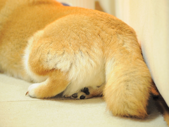 今夜は中止という事で!!_a0126590_22434691.jpg