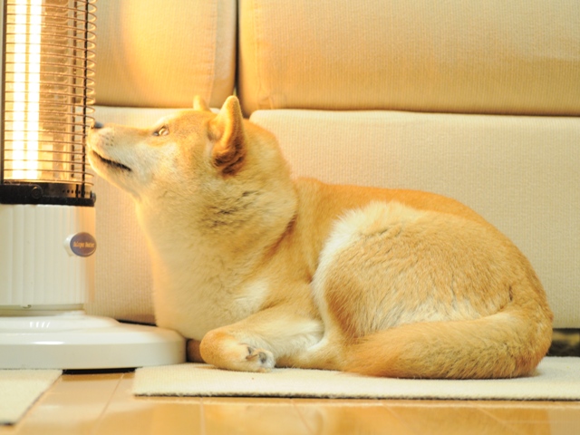 今夜は中止という事で!!_a0126590_22442275.jpg