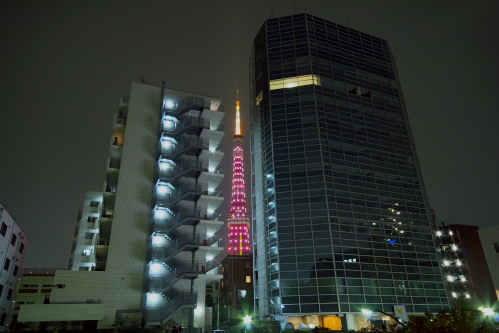 c0082191_198533.jpg