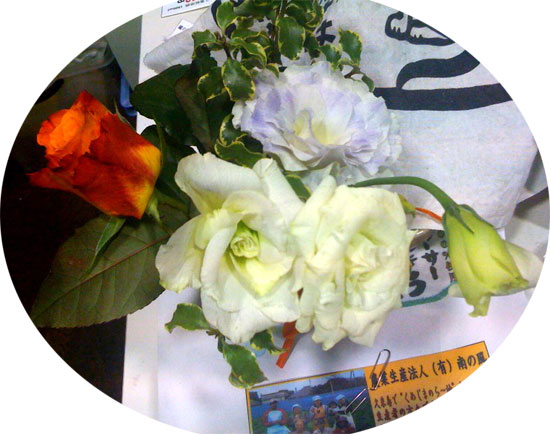 f0001993_17383410.jpg