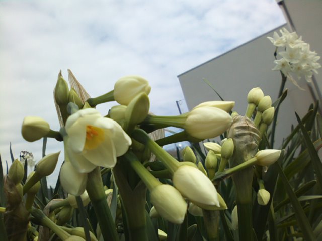 f0077595_8564814.jpg
