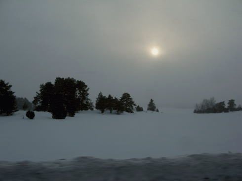 c0090198_4442572.jpg