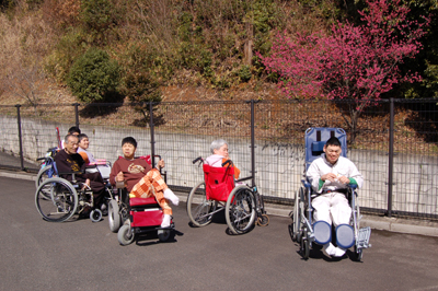 カンヒザクラの前でプチお花見！_a0154110_11263166.jpg