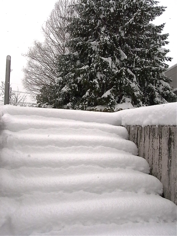 雪の日の朝_a0065611_1029680.jpg