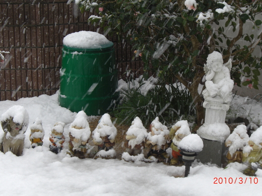 大雪対策の傘、ふふふ_a0029812_1710347.jpg