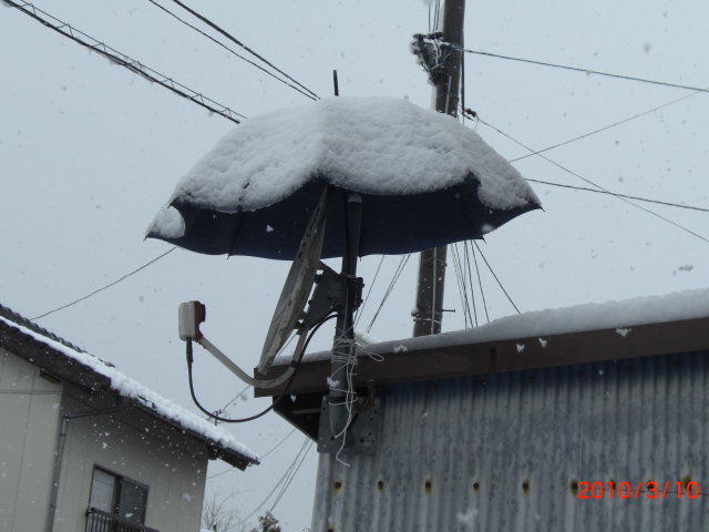 大雪対策の傘、ふふふ_a0029812_1765576.jpg