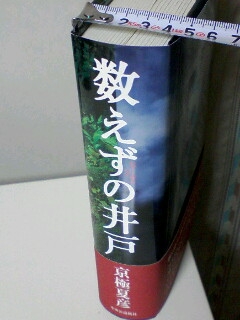 久しぶりに・・・京極夏彦の分厚い本を。_b0183613_20534536.jpg