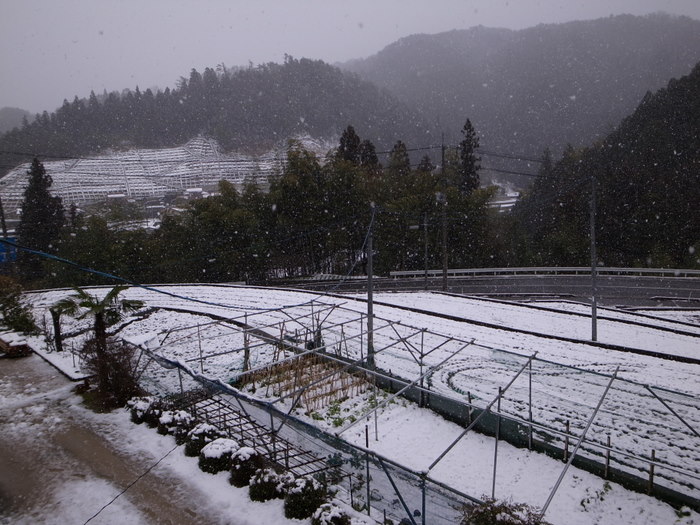 今日も雪が降り。。_c0116915_2220326.jpg