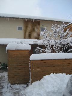 大雪~_d0105615_18473834.jpg