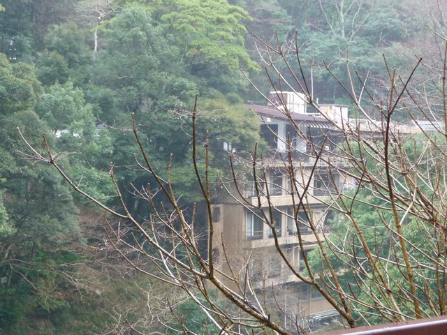 b0174217_23204411.jpg