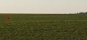 c0124619_147477.jpg