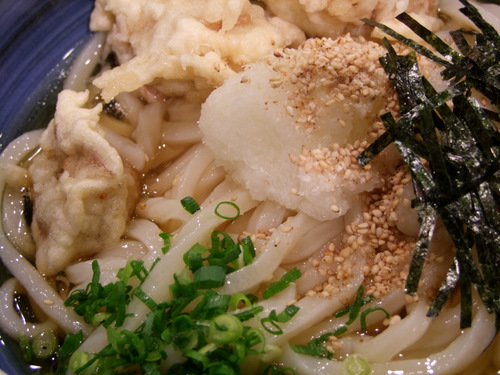 「赤羽 手打ちうどん すみたのかしわおろしぶっかけうどん」_a0000029_11465288.jpg