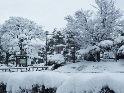 今朝の松本の雪は_e0180332_20291299.jpg