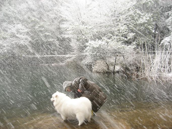 雪の六甲山_b0177436_232248.jpg