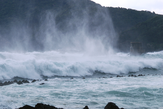 台風並み！！_b0186442_21191850.jpg