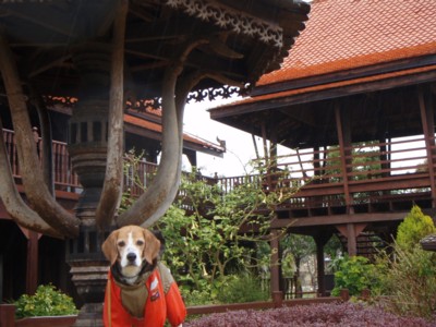 c0119142_683120.jpg