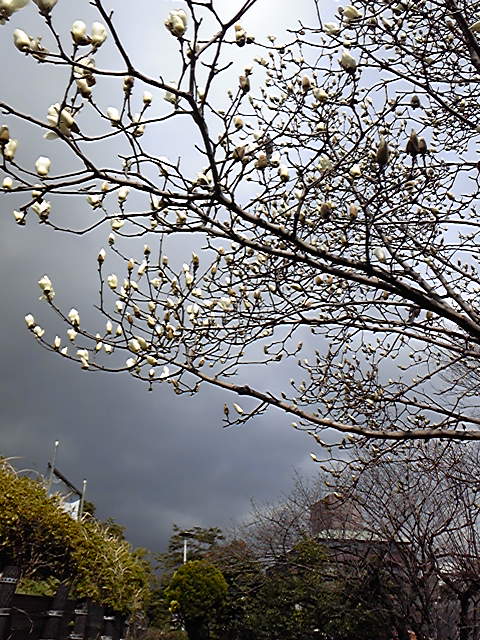 e0004846_13582684.jpg
