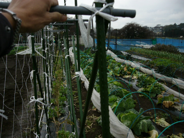 昨日のお昼過ぎから・雨から雪に変わり・・・ドキドキ_c0222448_10475262.jpg