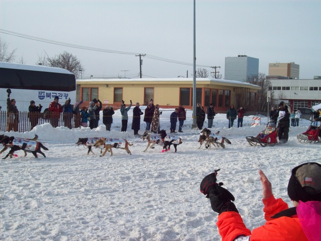 アイディタロッド犬ぞりレーススタート 小熊的アラスカ式日常生活 アイディタロッド犬ぞりレーススタート 小熊的アラスカ式日常生活
