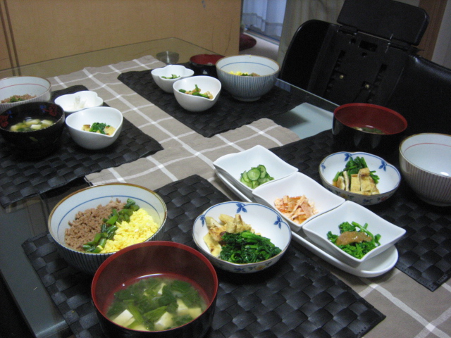 三色丼＆小松菜とカリカリ油揚げのおひたし_e0139978_9231037.jpg