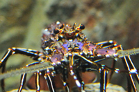 c0093301_10361142.jpg