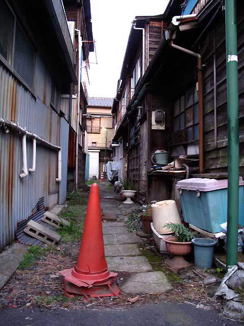 c0163001_2352562.jpg