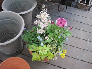 c0199728_0294585.jpg