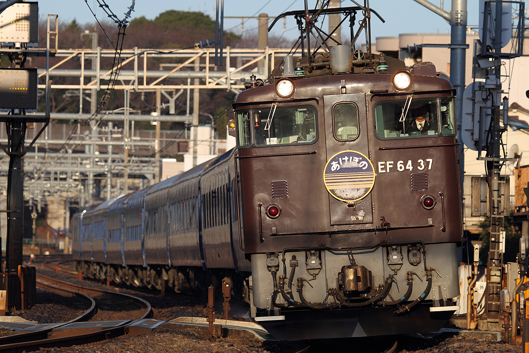 a0152631_22484619.jpg