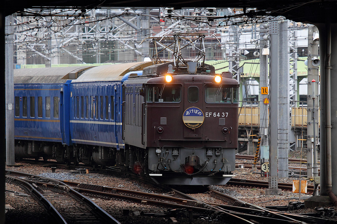 a0152631_23235799.jpg