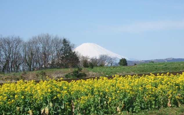 見事な富士山.....綺麗です!_b0137932_17505041.jpg