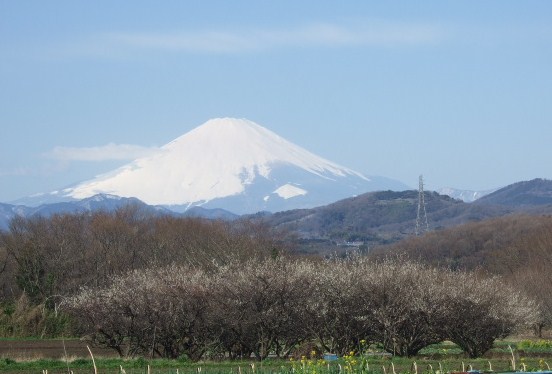 見事な富士山.....綺麗です!_b0137932_1753894.jpg