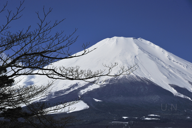 富士山・春の装い_c0193532_23144825.jpg