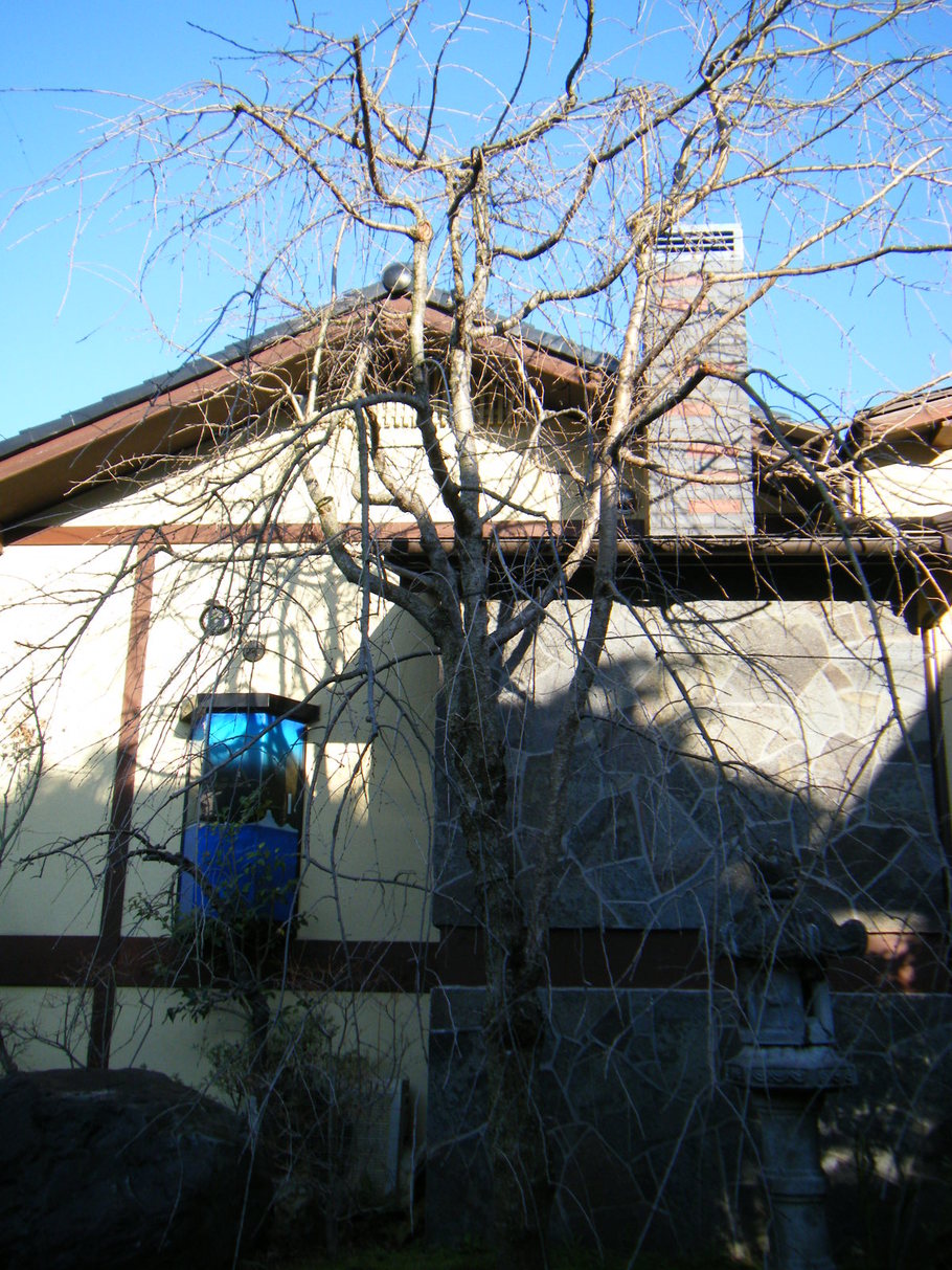 a0142935_14402529.jpg