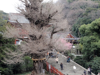 c0097838_0584784.jpg