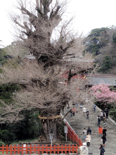 c0097838_065457.jpg