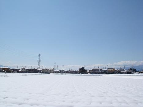 a0014840_20145830.jpg
