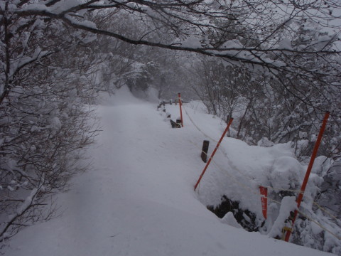 草津ツアー 3/3_a0023246_91671.jpg